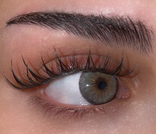 Cleopatra 2.0 Grey